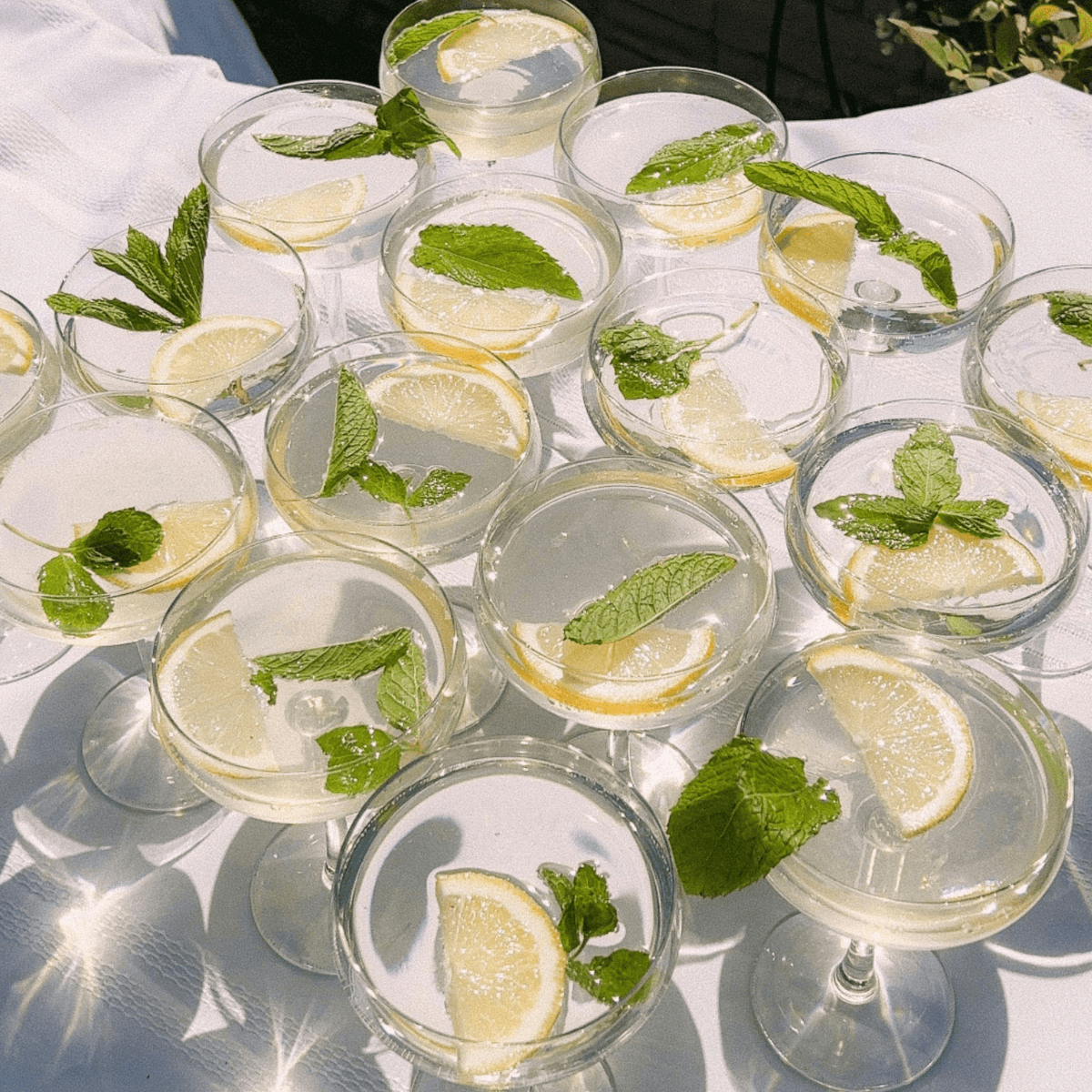 Garden Party Playlist (100+ Summer & Chill Hits) – 2026